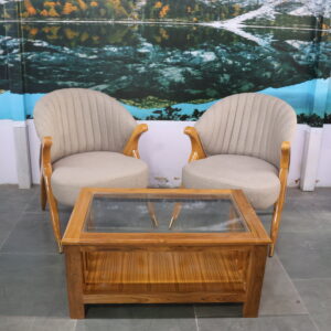 Modern Lounge Chair Set with Teakwood Coffee Table (2-Seater Combo)
